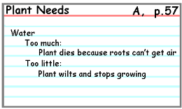 notecard example #1